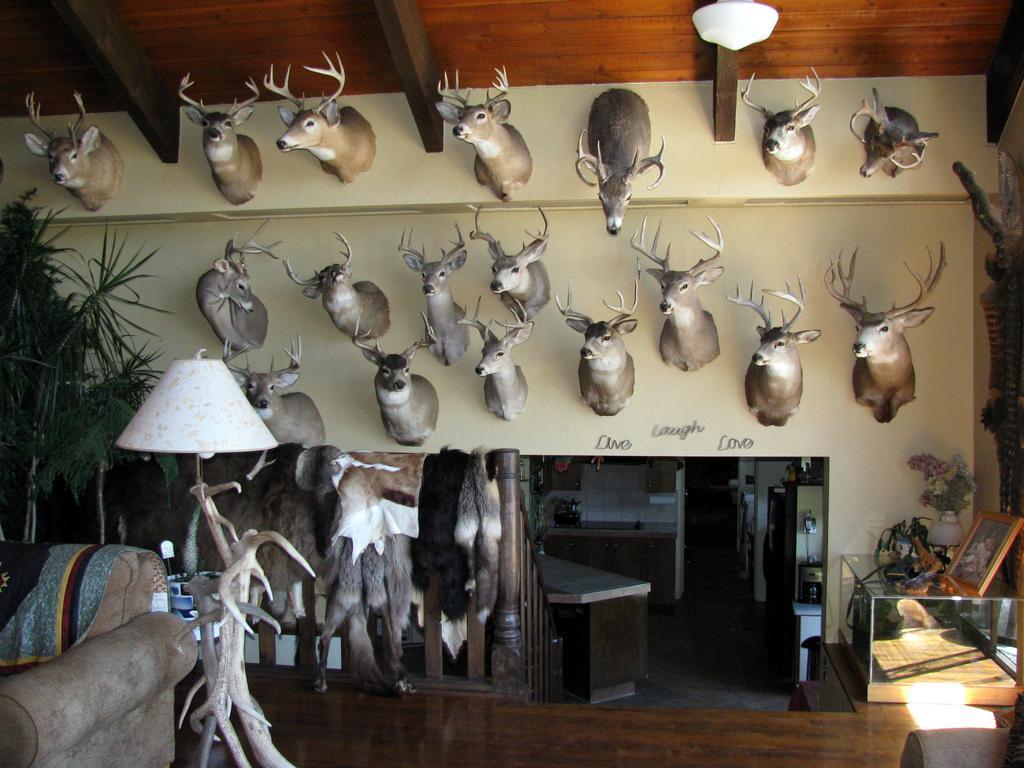 Whitebird Summit Lodge Grangeville Kültér fotó
